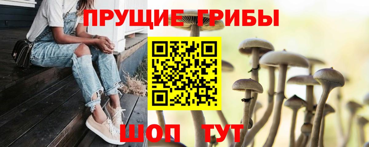 Псилоцибиновые грибы прущие грибы  Псилоцибиновые грибы MAGIC MUSHROOMS  Бирск  Вход с VPN 